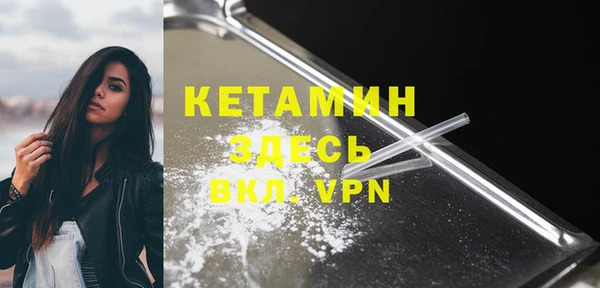 сатива Кулебаки