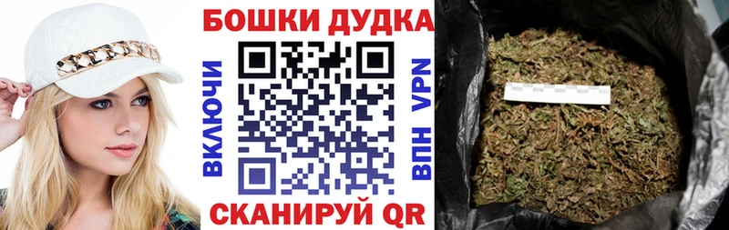 Конопля OG Kush  Купить  Бакал 
